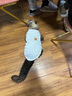 宠星记 宠物衣服 小型犬狗狗 小猫咪 冬季居家防飘毛 泰迪比熊雪纳瑞 白色特大号XXL 胸围46-50cm 实拍图
