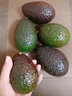 香果颜牛油果水果   新鲜应当季水果  送礼精选   精选大果10个装单果约190-220g 实拍图