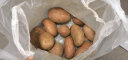 内蒙古乌兰察布农家自种新鲜蔬菜红皮土豆黄心土豆马铃薯高原现挖 6斤 红皮中果 晒单实拍图