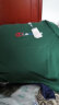 PHJ 韩版短袖t恤女夏季新款圆领绣花半袖体恤中年女士宽松打底上衣 绿色 2XL（150-170斤） 实拍图