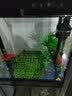 闽江（minjiang）鱼缸水族箱免换水生态造景客厅屏风中大型玻璃龙鱼缸观赏鱼家用 黑色（礼包+造景+升级过滤） 长60*宽30*高135（缸体+储物柜） 实拍图