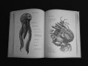 现货 异形契约:大卫手稿 英文原版 Alien Covenant: David's Drawings 外星生物艺术设计手绘 2册精装套装 实拍图