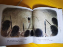 山洞小猎人（影响法国一代人的绘本作家、童书插画家米歇尔·盖伊新作，见证史前绘画艺术的诞生）浪花朵朵 实拍图
