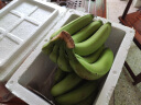 颐品鲜漳州苹果蕉小米蕉新鲜现摘孕妇水果土楼特产皇帝蕉黄香蕉粉蕉 漳州黄香蕉 3斤 （天宝蕉） 晒单实拍图