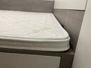 埃迪·蒙托棕垫 椰棕床垫 榻榻米垫  乳胶 踏踏米 宿舍床垫硬可折叠拆洗定做 轻奢针织6CM厚（含1cm乳胶） 1.8*2.0米 实拍图