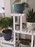 华观家居（Home Giving Furniture）多层实木花架阳台置物架室内花架子客厅落地式多肉绿萝花盆植物架 A款白色 实拍图