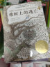 国际大奖小说--橡树上的逃亡 实拍图