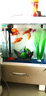 博宇（BOYU）鱼缸水族箱增氧生态鱼缸带柜子客厅家用小金鱼缸玻璃造景吧台地柜 MS-520懒人鱼缸48*25*49cm 白色鱼缸 实拍图
