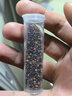 大白菜种子白菜种籽阳台盆栽四季易种植白菜种子蔬菜种子大全 山东四号白菜籽【1包 1千粒】 实拍图