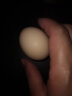 莘度（SHENDU）农场农家散养土鸡蛋10枚含包装400g左右不支持拒收签收一周内食用 10枚鸡蛋 晒单实拍图