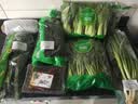 沙窝水果萝卜1kg 实拍图
