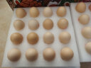 德青源 A+级鲜鸡蛋64枚3.2kg 自有农场 无抗生素 健康轻食 营养早餐 礼盒装 实拍图
