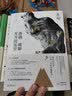 蒋勋破解米开朗基罗 实拍图