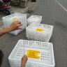 耐尔尼鸡笼周转箱养殖小鸡用运输鸭鹅兔家禽运输笼雏鸡运输箱鸡笼子塑料 白色（约9.7斤）鸡鸭通用 晒单实拍图