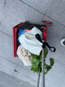 喜路仕升级购物车菜篮车爬楼梯手拉车老人超市小推车买菜车带盖可坐神器 BY06-F大轮款红色 实拍图
