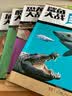 不可思议的战斗·科学大探索（套装全4册） 实拍图