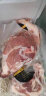 扬德溪谷【扬德溪谷】猪前腿肉500g  纯粮慢养殖黑土猪肉 现杀现发 猪肉 实拍图