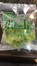 首诚高端蔬菜免洗采摘即食轻食沙拉西餐火锅鲜活首诚植物工厂采摘直发 优雅（10袋） 实拍图