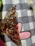 芭根草发饰发夹牛筋抓夹大号发抓头饰花朵盘发夹子韩国发卡女洗澡夹 款式二黄绿色 实拍图
