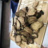 雄在玛卡深黑干果干片精选泡酒料马卡玛咖大果黑玛卡粉防秘鲁玛卡环境生长 【雄在】大果黑玛卡整果250g 实拍图