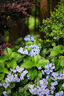 尼康（Nikon）Z 50mm f/1.2 S【全国可用消费券】 全画幅 微单 大光圈定焦镜头 尼康镜头 人像/风景 实拍图