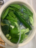 飞立果蔬清洗食材净化机壁挂式家用有线肉类水果去农药残留清洁神器臭氧消毒洗菜 FL-C08A多功能果蔬清洗机（一机多用） 智能消毒机 实拍图