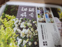 私家小院 别墅日式中式自然风格 庭院设计 园林景观 微设计 国版预订 实拍图