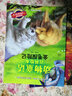 小笨熊 【畅销24年 套系销量突破1000万册】生态文学儿童读物·动物童话百科全书金毛 老虎 狮子 棕熊 大熊猫 海豚（套装全6册 彩图注音版）(中国环境标志产品 绿色印刷) 实拍图