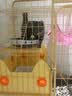 蔻丝猫笼子猫窝别墅带厕所一体室内大号减少外溅家用猫舍屋宠物猫笼 三层原木【78*55*108】自由活动 猫厕款：抽屉式猫砂盆带铲+吊床 实拍图