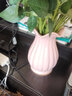 凉笙简约现代花瓶摆件陶瓷花瓶客厅餐桌茶几装饰品工艺品客厅花器摆件 大号莲叶花瓶(粉色) 实拍图