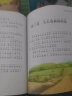 世界儿童共享的经典丛书 套装全11册 全彩儿童注音版(安徒生童话格林童话成语故事幼小衔接幼儿园小学中低年级孩子课外阅读推荐一年级二年级三年级四五六年级暑假课外阅读书籍） 实拍图
