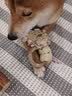 贵为（GiGwi）狗狗玩具耐咬松木毛绒帆布磨牙耐咬发声自嗨解闷幼犬小狗宠物玩具 呼啦圈-狮子 实拍图