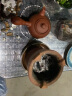 格术 围炉煮茶套装家用老式烧炭煮茶炉取暖烧烤炉烤红薯侧把壶+网加泥 晒单实拍图