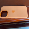 Apple 苹果原装iPhone13Pro手机壳MagSafe磁吸硅胶/透明保护壳保护套苹果手机套 金盏花色 晒单实拍图