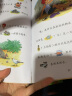 彩虹桥经典阶梯阅读（起步系列 套装全30册）小学低年级学生阅读培养方案 实拍图