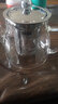 天城一品 玻璃茶壶花茶具沏茶带过滤器烧水壶冲茶器高温耐热 玉兰壶 600ml 实拍图