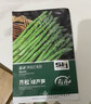 寿禾 芦笋种子种苗多年生四季种植蔬菜种籽 潍育齐松绿芦笋种子100粒 实拍图