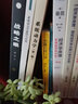 系统动力学（第二版） 实拍图
