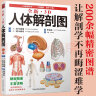 3D人体解剖图 200个精密3D图例 全彩解剖学图谱医学人体生理学人体解剖彩色学图谱局部解剖学人体解剖学 实拍图