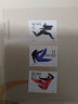 收藏 集邮  J字头邮票  之五 J172 北京十一届亚洲运动会三组 实拍图