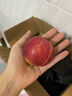 攸竹 南非牛顿小苹果 进口嘎啦小苹果 野生小苹果 新鲜苹果小果礼盒 1000g【净重800g】 实拍图
