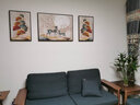 轩棠树 客厅装饰画新中式沙发背景墙壁画现代简约三联画轻奢餐厅墙画靠山招财风水书房晶瓷挂画 锦绣山河 小组合（左右40*60中60*80）布艺画 实拍图