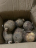 广西荔浦的芋头 5斤装新鲜大芋头现挖粉香芋 5斤中果（6-8个装） 晒单实拍图