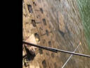 飞秒碳素轻硬溪流杆新手渔具套装37调短节竿5.4米葫芦手把手竿套装 实拍图