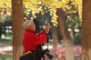 佳能/Canon EF 70-200mm 系列 二代小白大白 中长焦人像防抖全画幅单反镜头 二手镜头 EF70-200 2.8L IS II USM 99新 实拍图