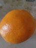 赣南脐橙橙子赣南脐橙正宗江西赣州直发早橙时令水果礼盒手剥橙新鲜水果 净重9斤【单果80mm+】精品大果 实拍图