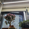 飞利浦(PHILIPS)全光谱LED植物生长灯大棚花卉室内阳台家用多肉补光灯仿太阳自然光光合作用灯 飞利浦24W全光谱灯管 配 灯架 晒单实拍图