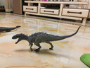 赟娅儿童过家家大号侏罗纪硬胶恐龙模型优质橡胶霸王龙暴虐龙模型玩具 暴虐霸王龙（嘴巴可闭合） 实拍图