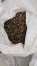 骏楷园林进口牧草种子多年生黑麦草鱼草四季可种耐寒养殖鸡鸭鹅猪牛羊种籽 苏丹草种子1斤 实拍图