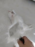 hello pet船记猫梳子狗梳子宠物拉毛开结美容蓬松针梳 H216(硬针加长特大号） 实拍图